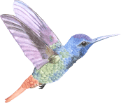 Gül Yaprak <span>Özel Eğitim</span> ve Rehabilitasyon Merkezi