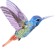 Danışanlarımız Ne Dediler?